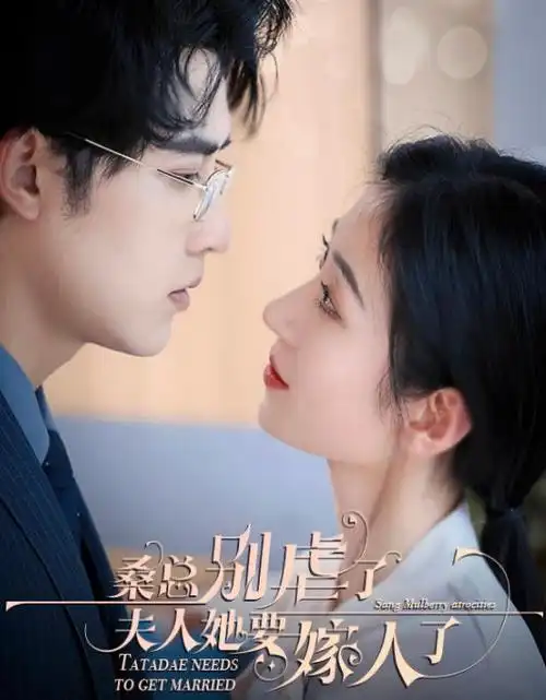 巷口的月亮 都市情感剧全集在线观看